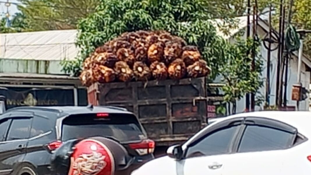 Dishub dan Satpol PP Muara Enim Diminta Bertindak,Truk Dyna berwarna merah Bermuatan Sawit Menjulang Dishub dan Satpol PP Muara Enim Diminta Bertindak,Truk Dyna berwarna merah Bermuatan Sawit Menjulang