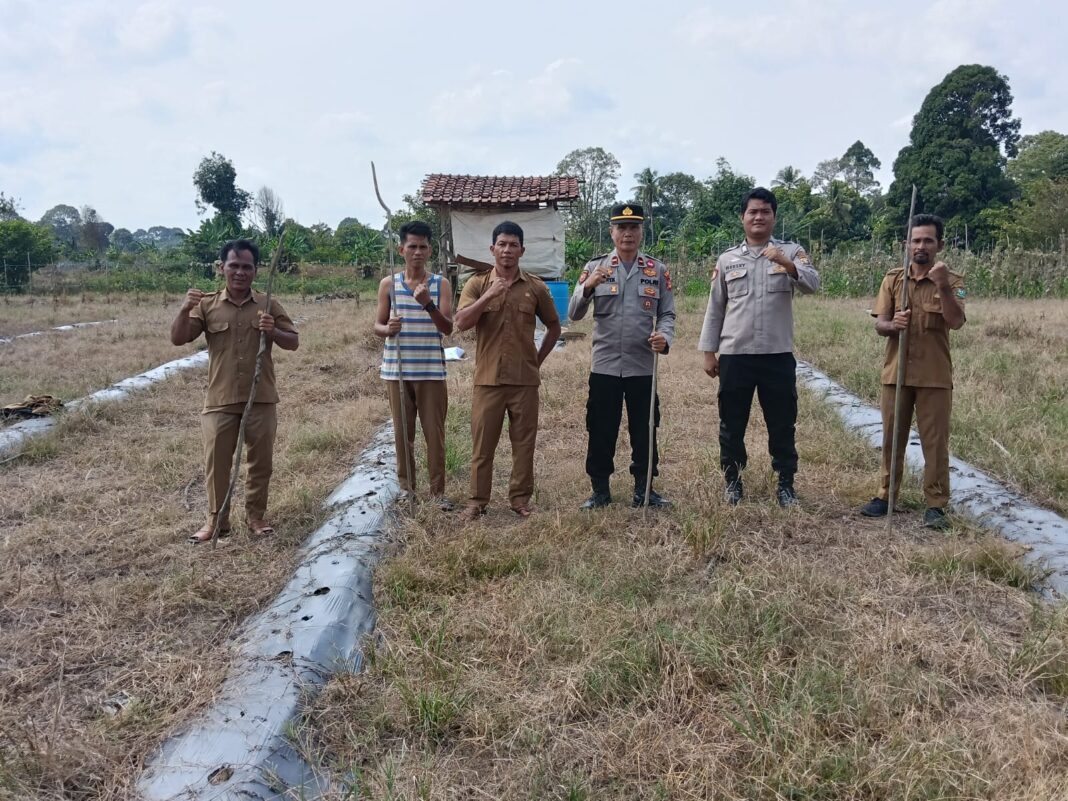 Polsek Lubai Bersama PPL dan Kelompok Tani Laksanakan Penanaman Jagung Kuartal III Tahun 2026 Polsek Lubai Bersama PPL dan Kelompok Tani Laksanakan Penanaman Jagung Kuartal III Tahun 2026