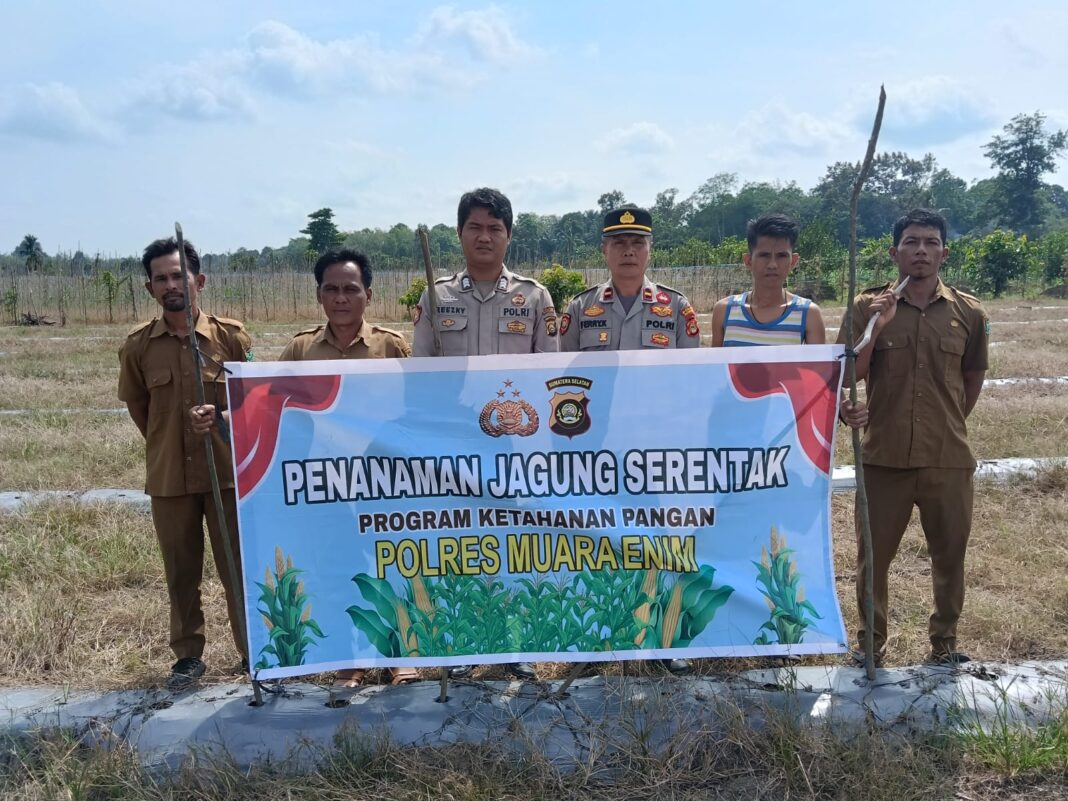 Manfaatkan Lahan Kosong, Polsek Rambang Niru Bersama Warga Tanam Jagung Dukung Ketahanan Pangan Nasional Manfaatkan Lahan Kosong, Polsek Rambang Niru Bersama Warga Tanam Jagung Dukung Ketahanan Pangan Nasional