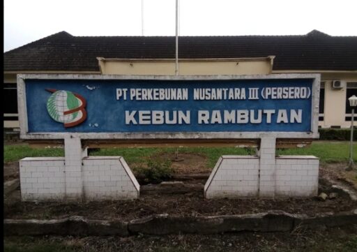 Diduga Tangkap-Lepas Pencuri Sawit, Manajer dan PAPAM PTPN IV Rambutan Bungkam Saat Dikonfirmasi Wartawan Diduga Tangkap-Lepas Pencuri Sawit, Manajer dan PAPAM PTPN IV Rambutan Bungkam Saat Dikonfirmasi Wartawan