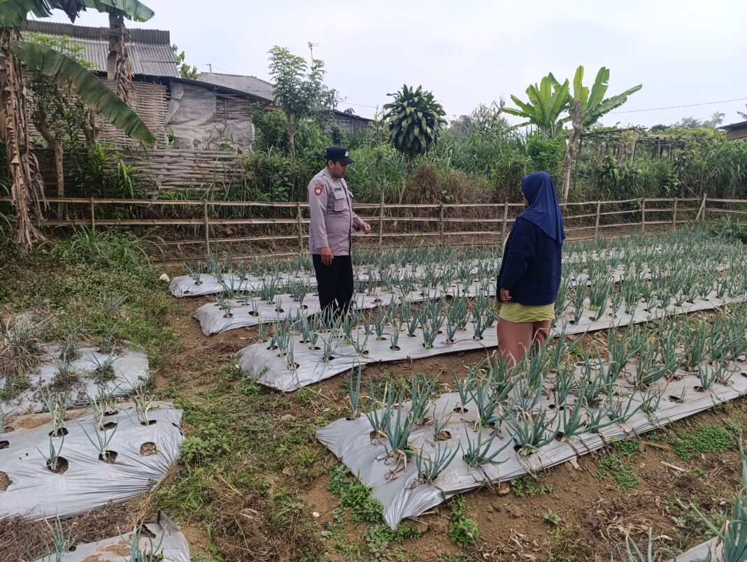 Polri Dampingi program Pekarangan pangan Bergizi di Desa pungging Polri Dampingi program Pekarangan pangan Bergizi di Desa pungging