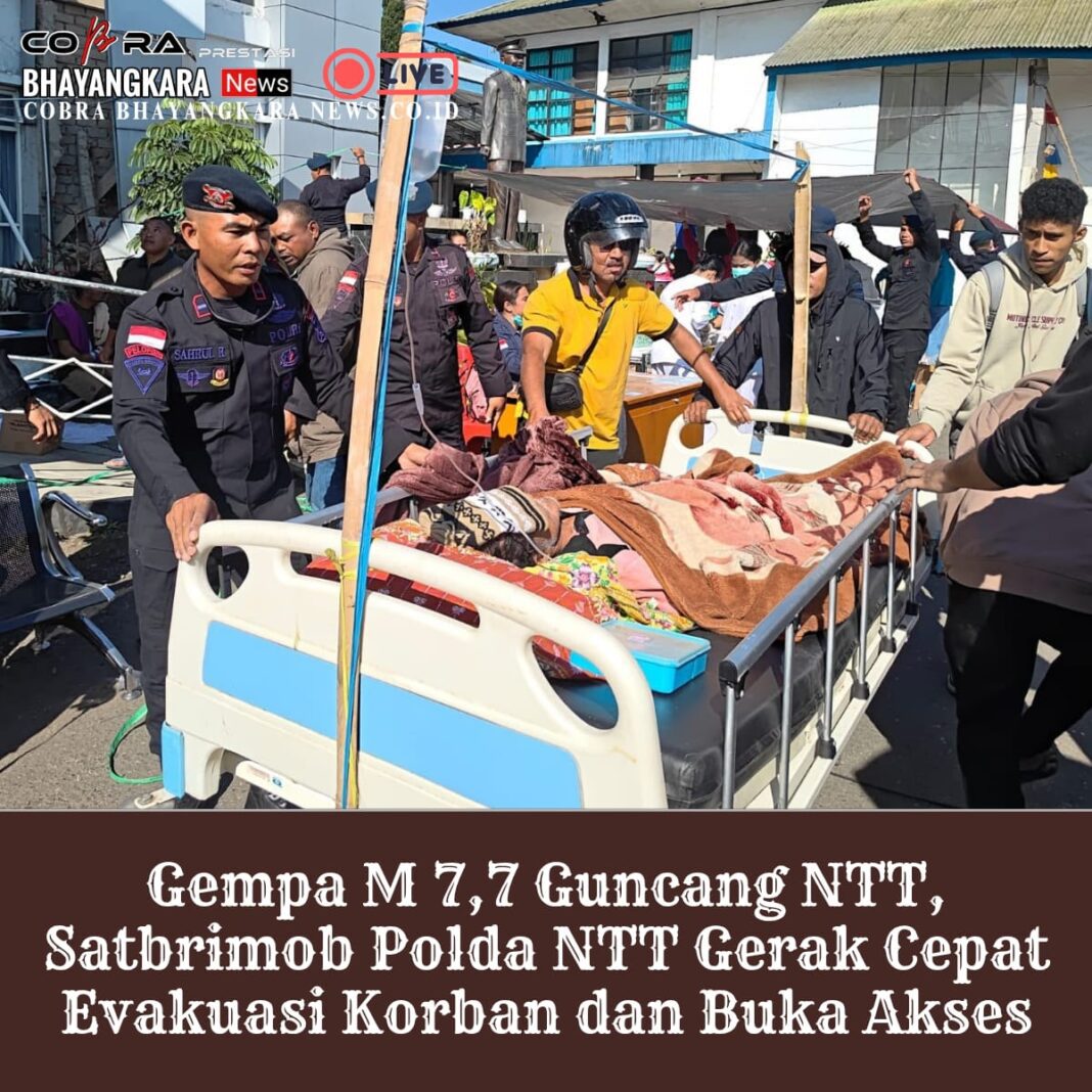 Gempa m 7,7 Guncang NTT Satbrimob. polda NTT Gerak Cepat Evakuasi korban dan buka Akses Gempa m 7,7 Guncang NTT Satbrimob. polda NTT Gerak Cepat Evakuasi korban dan buka Akses