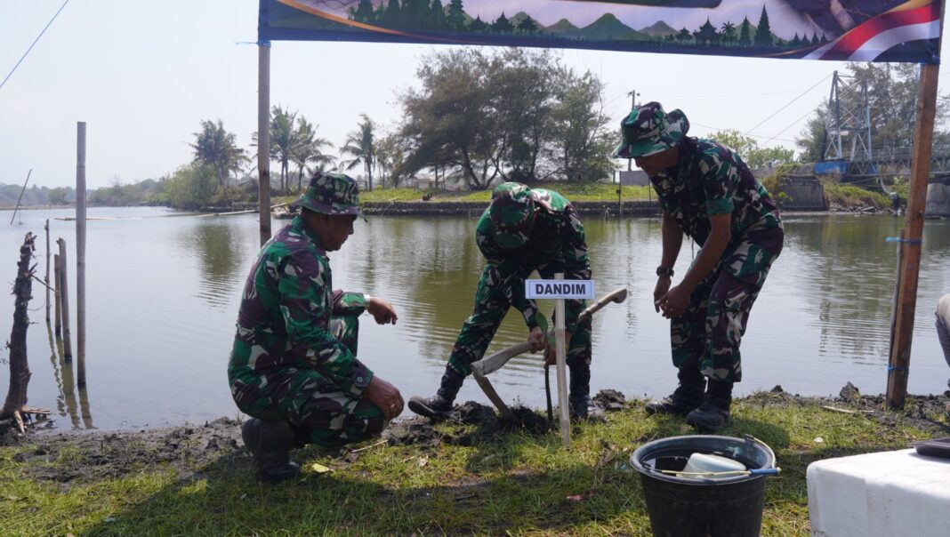 Kodim 0708 Purworejo Tanam 1.000 Mangrove, Jaga Ekosistem dan Cegah Abrasi Pesisir Selatan Kodim 0708 Purworejo Tanam 1.000 Mangrove, Jaga Ekosistem dan Cegah Abrasi Pesisir Selatan
