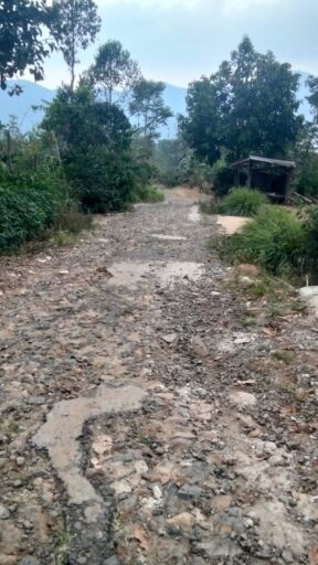 Jalan Utama Pemangku Talang Kinjar Rusak Parah, Warga Harapkan Perhatian Pemkab Lampung Barat Jalan Utama Pemangku Talang Kinjar Rusak Parah, Warga Harapkan Perhatian Pemkab Lampung Barat
